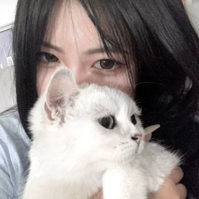 天天中彩票下载手机版