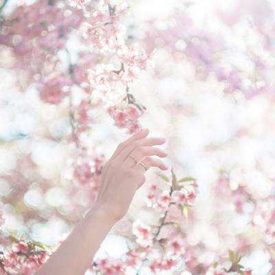 天天中彩票下载手机版