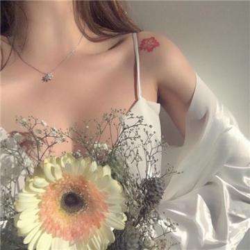 凤凰彩票56677官网入口查询